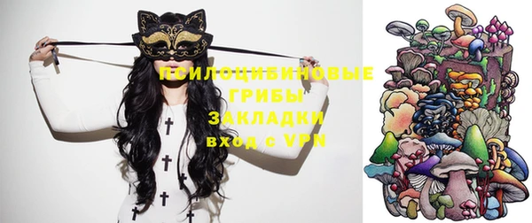 ECSTASY Алзамай